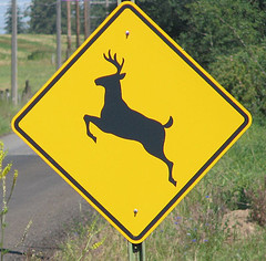 Post image for Police logs (11/22/13-11/24/13) and warning: Deer accidents, rage on/off the road, and small fires