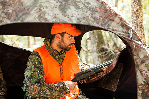 Post image for Deer hunting season in swing: use extra caution in wooded areas