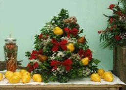 Post image for Events this week (12/9/13-12/15/13): Boxwood trees, legos, and Steeple Coffeehouse