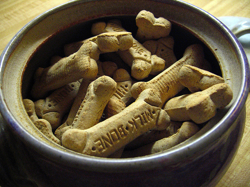 Post image for Girl Scouts collecting for animal shelters through January 24