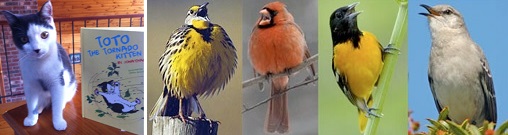 Post image for Events this week (3/10/14-3/16/14): Kitty survivor, songbirds, sports lecture, and St. Patrick’s parties