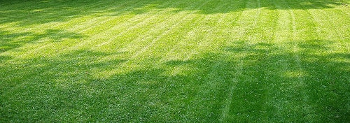 Post image for Barn Hollow discord: BOS allows homeowners “revocable” right to mow some open space