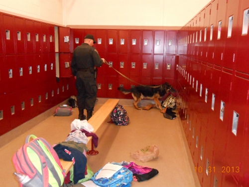 Post image for Harbinger: Drugs “largely absent” from Algonquin campus