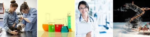 Post image for Girls can explore becoming Women in STEM – register for free now