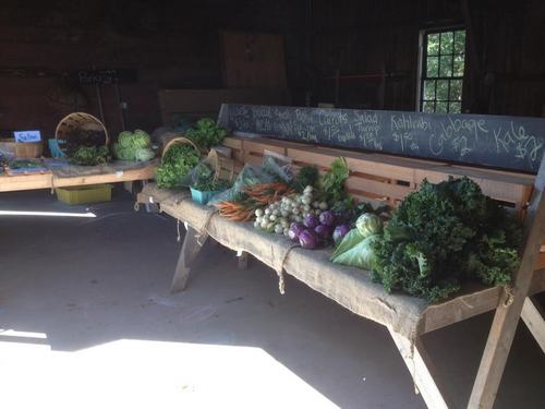 Post image for Southborough’s Farmstand open 3 days/week