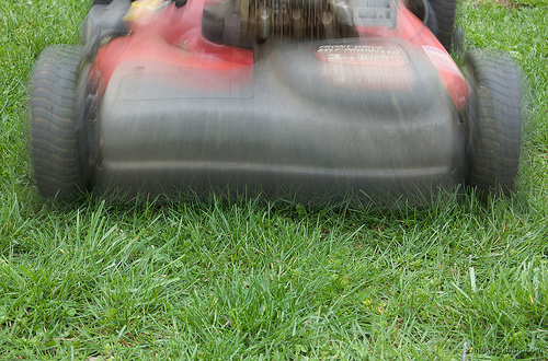 Post image for Yard work / small jobs around the house