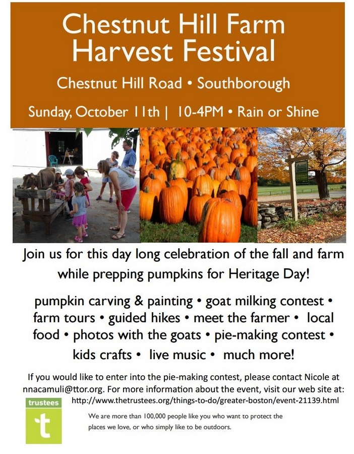 Chestnut Hill Farm Harvest Festival Pie contest, pumpkin decorating