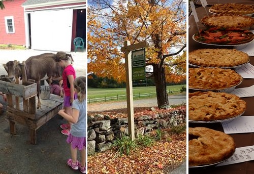 Post image for Chestnut Hill Farm Harvest Festival: Pie contest, pumpkin decorating, goat milking and more