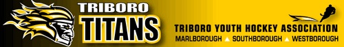 Post image for Young girls’ hockey league through Triboro Youth for girls born ’07-’11