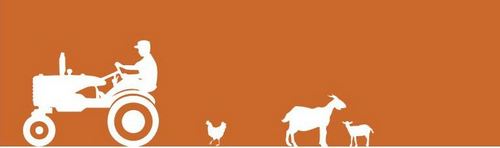 Post image for Chestnut Hill Farm festival details and schedule: Sunday, October 11