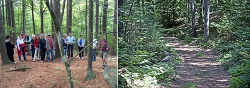 Post image for Trailblazers invites active seniors to join their next hike – October 27 (Updated)