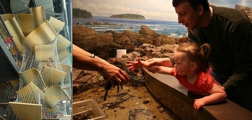 Post image for Make more of Thanksgiving break: Library museum and park passes