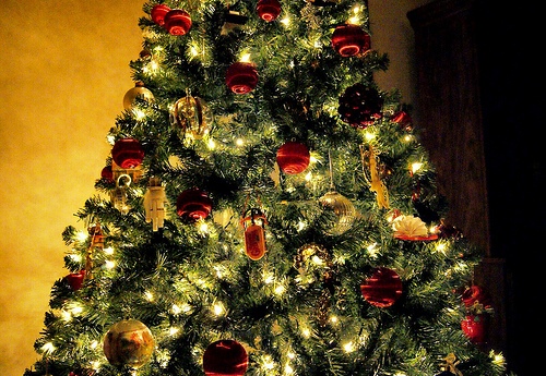 Post image for Reminder: Christmas Tree pickup – January 8th