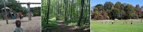 Post image for Town asking residents to answer Open Space & Recreation survey