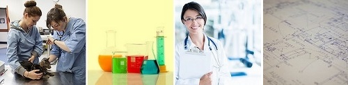 Post image for Girls can explore becoming Women in STEM – register for free ASAP