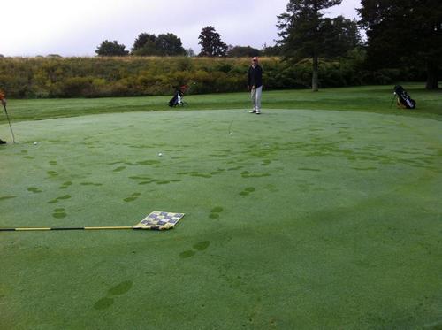Post image for SWL: Say goodbye to Stonybrook Golf Course and hello to another farm