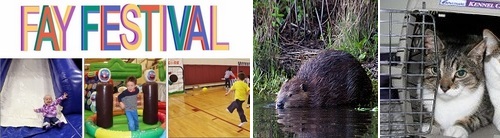 Post image for Weekend at a Glance: Beavers program for kids, Fay Festival, Rabies Clinic, theology of Star Wars, and Maple Syrup (Updated again)