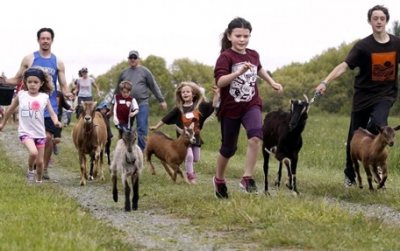 Post image for Running of the Goats – Sunday