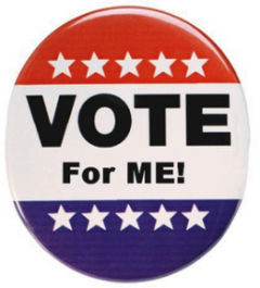 Post image for Pick your candidate for Tuesday’s vote