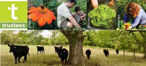 Post image for Chestnut Hill Farm: Expanded CSA and offerings
