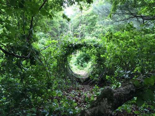 Post image for Reminder – Art on the Trails art proposals deadline is Sunday