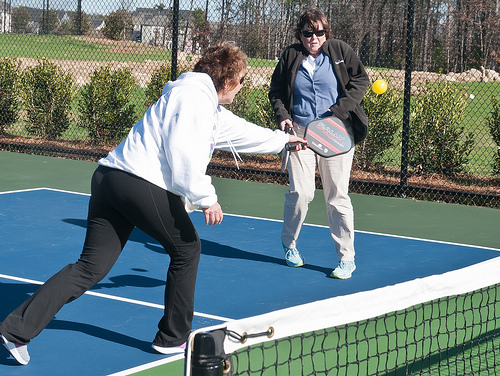 Post image for Seniors – learn to play pickle ball this fall