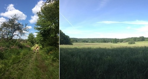 Post image for Hike Southborough Day – September 23 (Updated)