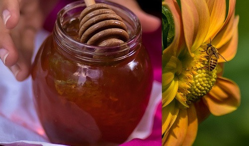 Post image for Events this week: Legos, Honeybees, School meetings, free intro classes and more