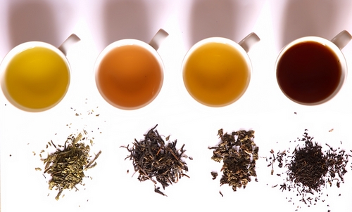 Post image for Educated Eating series at the Library: Tea tasting this Thursday