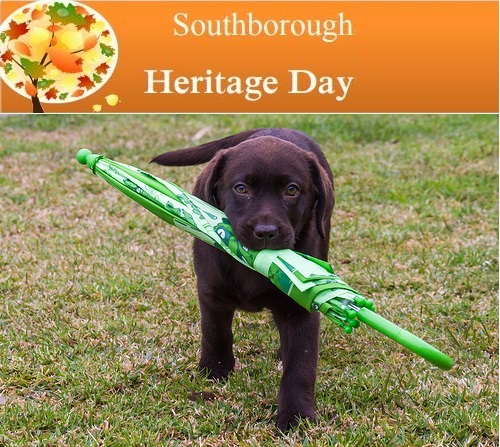 Post image for Heritage Day 2017: Full steam ahead