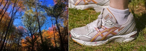 Post image for Reminder: 5K Trail Run Sunday <em>(followed by pumpkin chuck)</em>