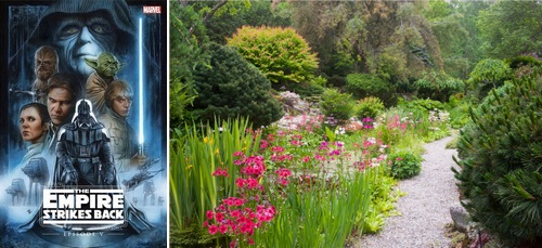 Post image for Events this week: District speaker, Trottier half day matinee, senior hike, virtual garden tour, kids’ musical and more