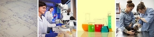 Post image for Girls can explore becoming Women in STEM – register for free ASAP