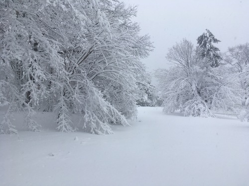 Post image for School delayed: March 14, 2018