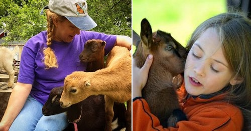 Post image for Cuddle baby goats and Meet the Farmer – Saturday