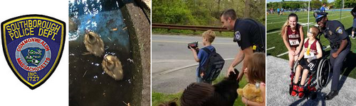 Post image for Police logs, make way for ducklings, and more