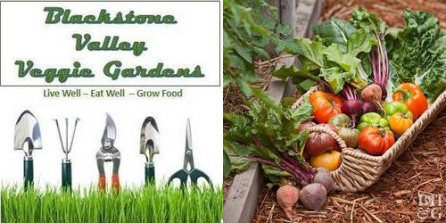 Post image for Organic approach to gardening – June 13