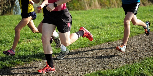 Post image for Cross Country evening series for all ages this summer at Algonquin