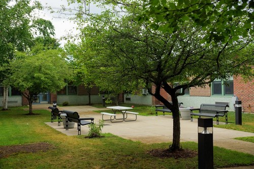 Post image for Finn benefits from Eagle Scout project