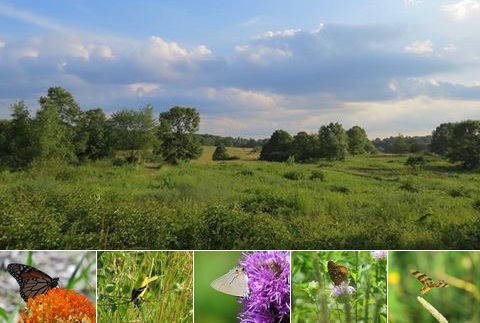 Post image for Learn about Breakneck Hill projects, opportunities, and goals – Tuesday night