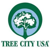 Post image for Planning working on bylaw to make Southborough a “Tree City”