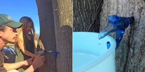 Post image for Chestnut Hill Farm Maple Tap-a-thon March 9