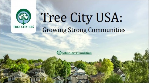Post image for Town Meeting: “Tree City” Article 28 codifies current policies; no additional costs