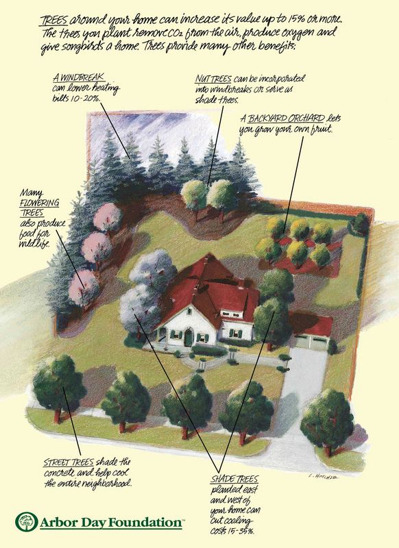 Celebrating Arbor Day 1st annual Tree Planting Ceremony on Friday and