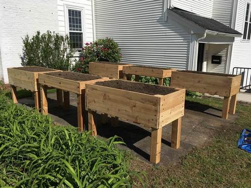 Post image for Senior Center’s Raised Bed Gardens – learn about lending a hand today at 11am