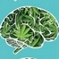 Thumbnail image for Marijuana Addiction and Mental Health talk for parents – June 5th