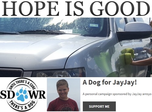Post image for Car Wash for an Autism Service Dog – Saturday