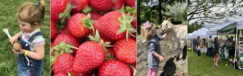 Post image for Strawberry Festival at the Farm – Sunday