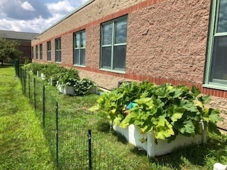 Post image for Finn Family Garden teaching students and helping the community