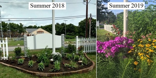 Post image for Garden tour celebrates native plants – Sunday